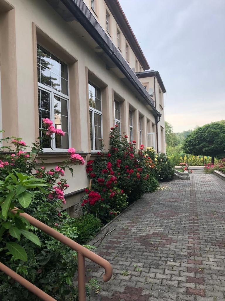 Grandhotel Novy Bor Luaran gambar